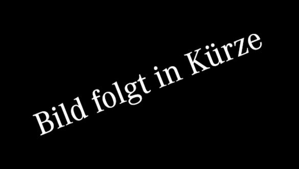 Junge Sterne in Regensburg